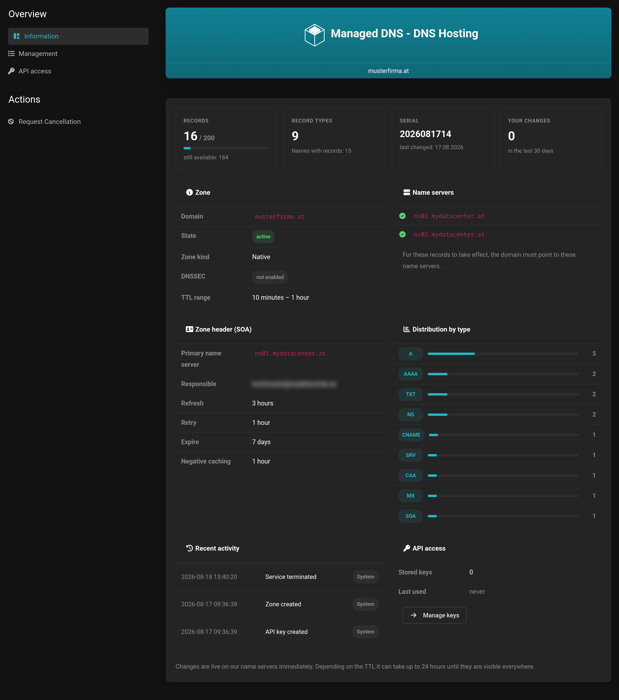 Product page of the DNS management with the navigation Information, Management and API access on the left-hand side
