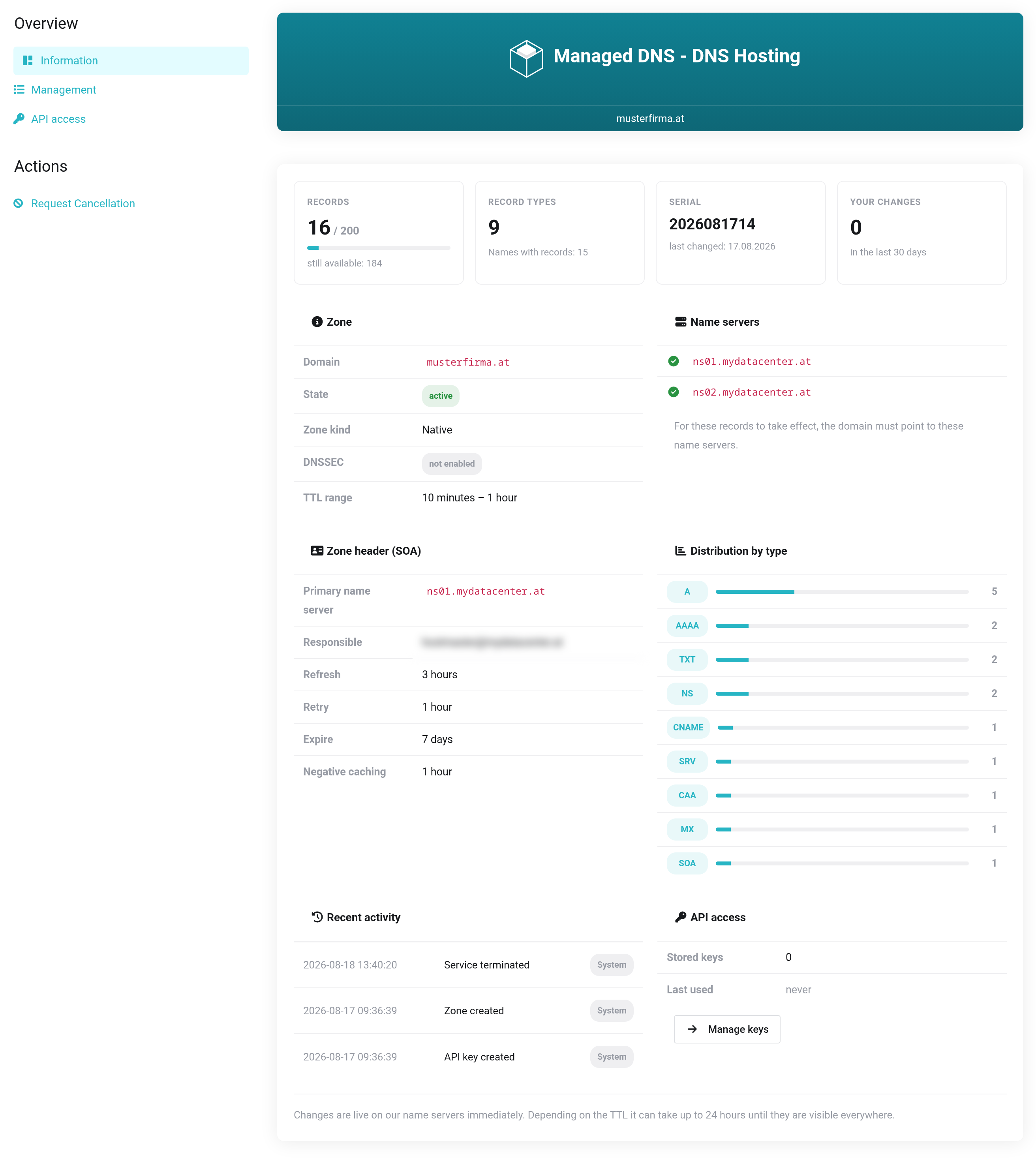 Product page of the DNS management with the navigation Information, Management and API access on the left-hand side